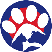 SpayToday Logo